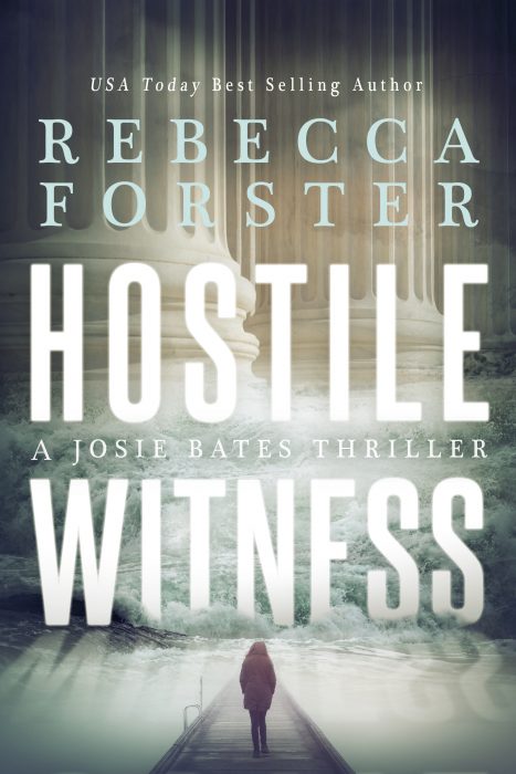 Hostile Witness by Rebecca Forster