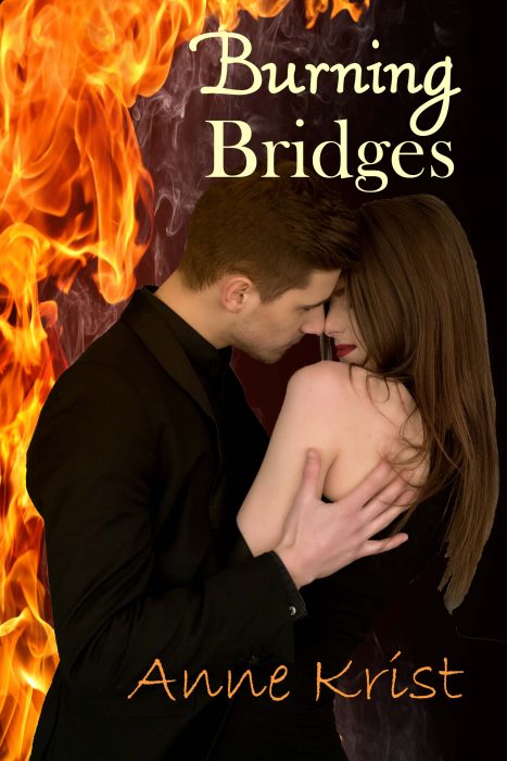 Burning Bridges by Anne Krist